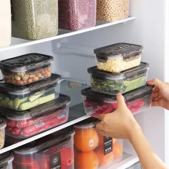 Boîte de Rangement avec Couvercle 3 L en Plastique pour Organisation et Conservation