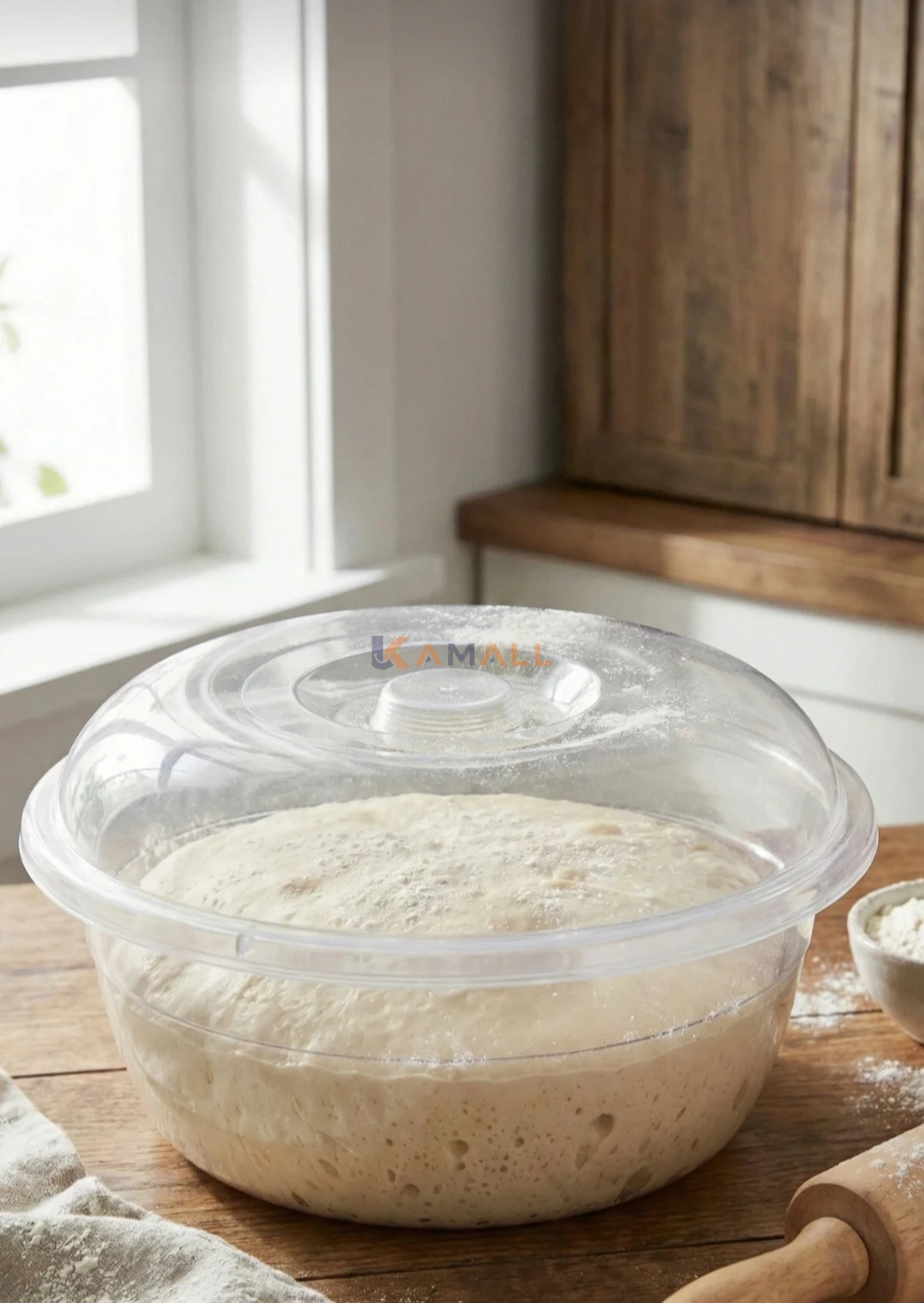 Bassine en Plastique avec Couvercle 5 L – Récipient de rangement pratique pour cuisine et maison