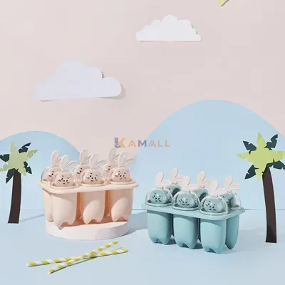 Moule à Glace 6 Compartiments en Plastique Alimentaire